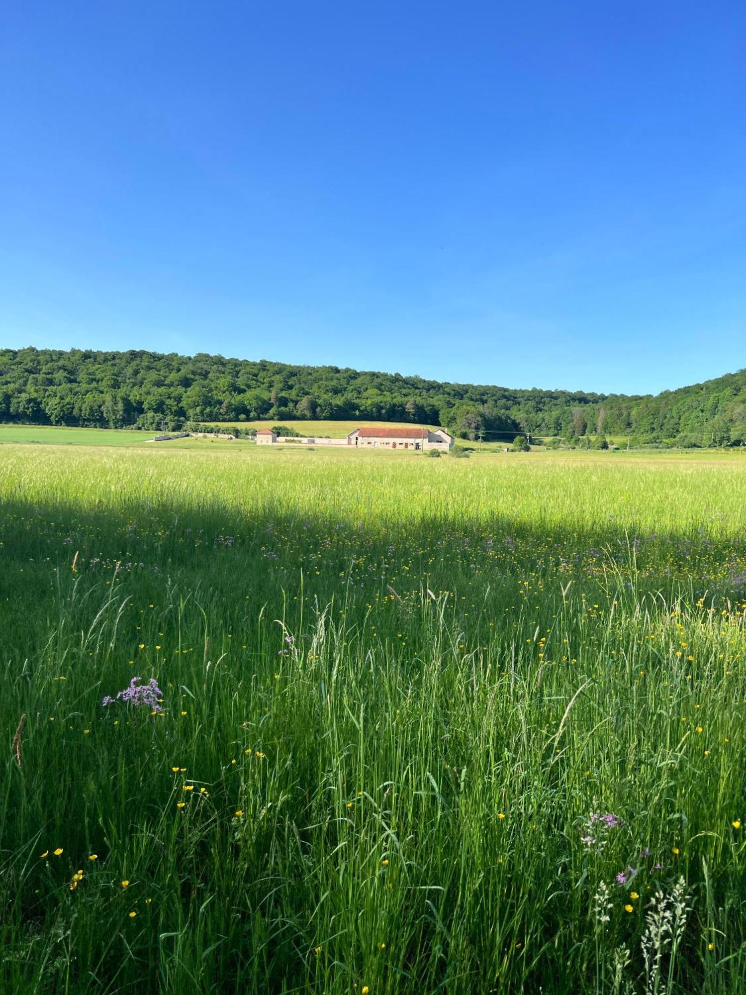 Gite De La Vallee De L'Aujon Arc-en-Barrois Kültér fotó
